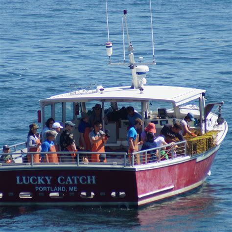 Lucky catch .